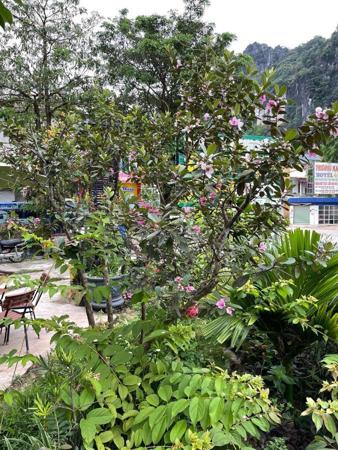 Phong Nha Green Homestay 外观 照片